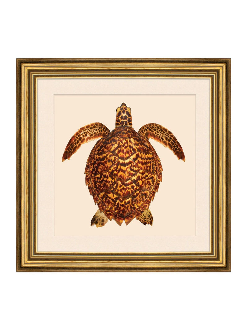 Brookpace Lascelles turtle coastal wall art 48cm (British brand)