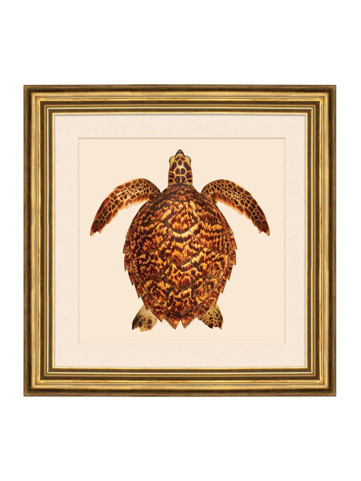 Brookpace Lascelles turtle coastal wall art 48cm (British brand)