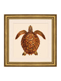 Brookpace Lascelles turtle coastal wall art 48cm (British brand)