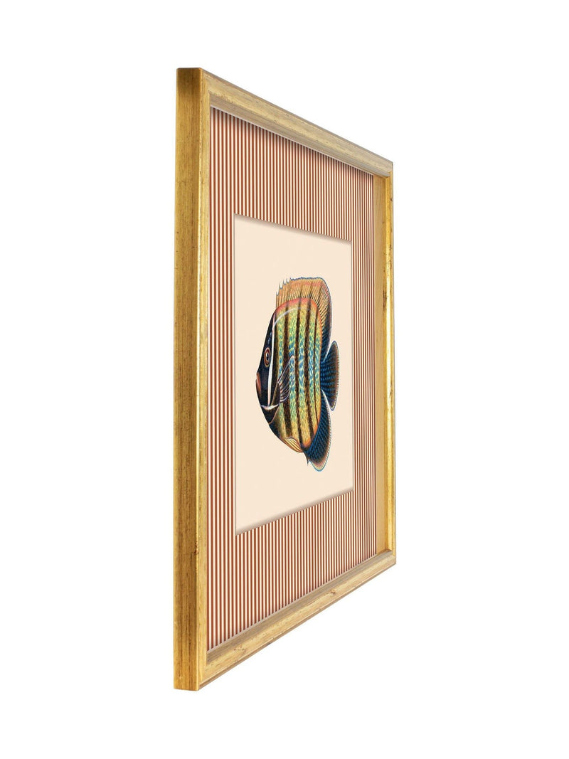 Brookpace Lascelles tropical fish wall art 43x33cm (British brand)