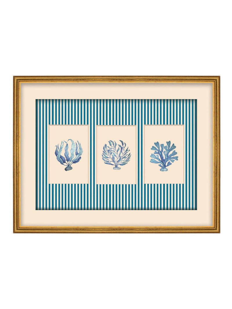 Brookpace Lascelles sealife trio framed print with blue stripes, imported from the UK
