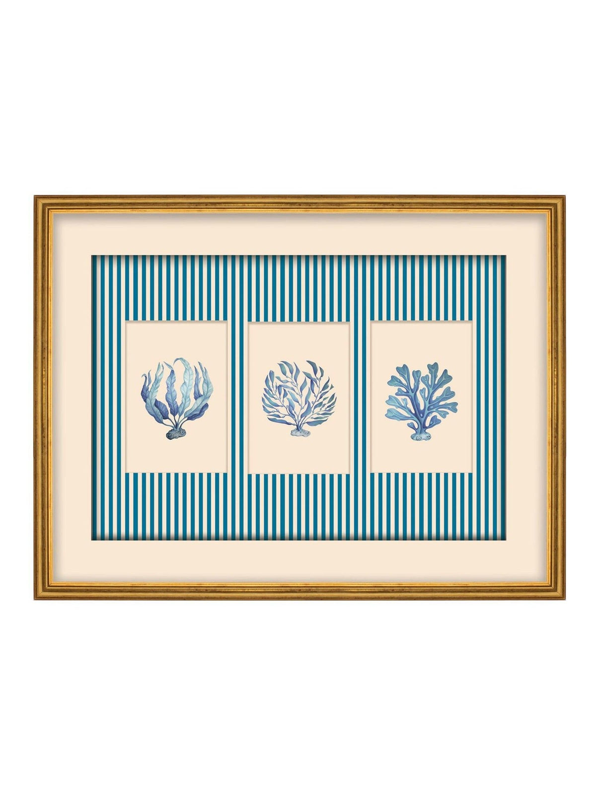 Brookpace Lascelles sealife trio framed print with blue stripes, imported from the UK