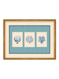 Brookpace Lascelles sealife trio framed print with blue stripes, imported from the UK