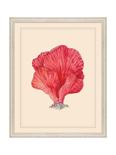 Next Brookpace Lascelles Red/White I Coastal Wall Art 55.5x45.5cm- Buy online at McGrocer