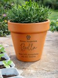PMC personalised pet memorial terracotta pot, UK version