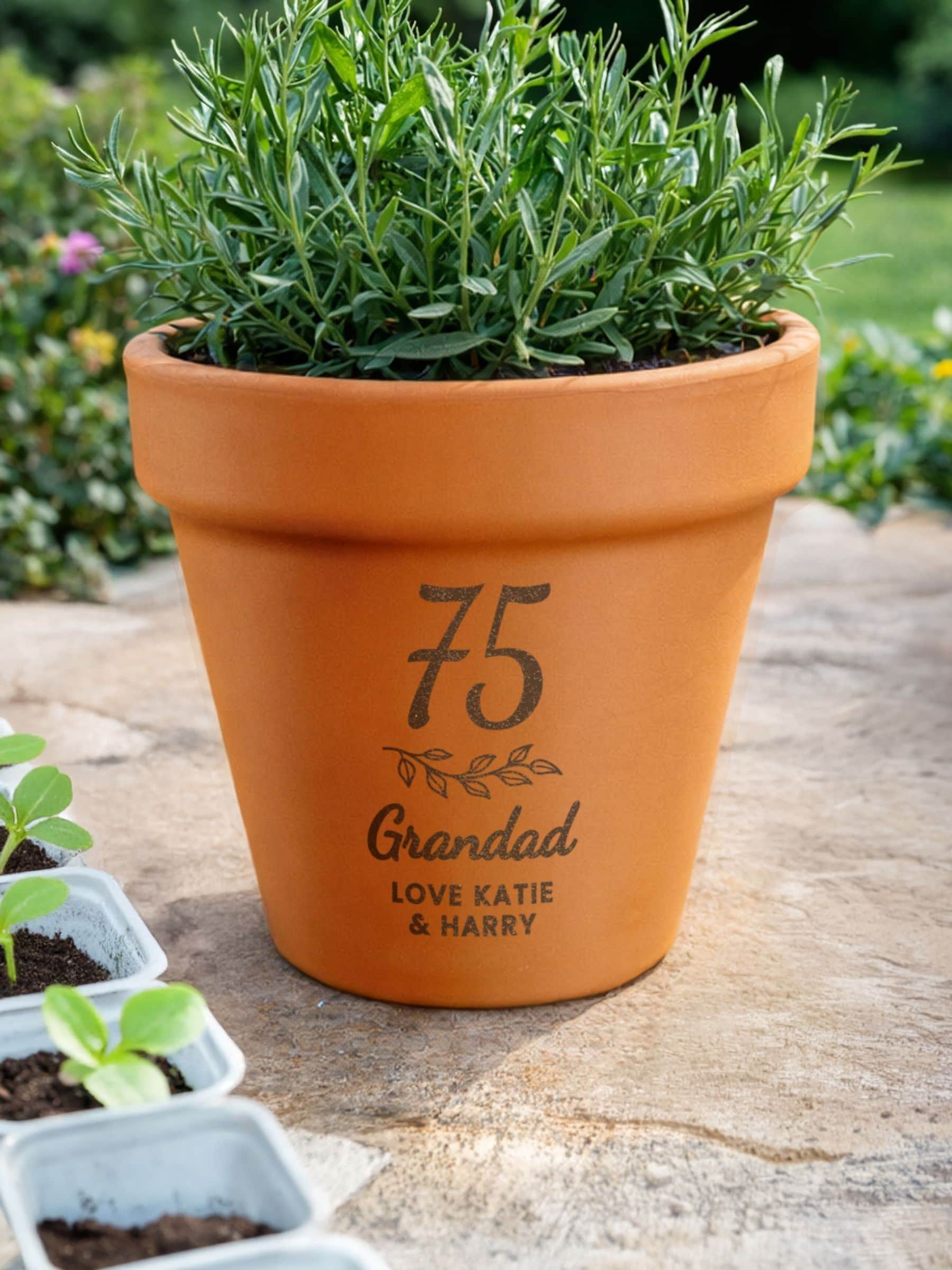PMC personalised terracotta plant pot for birthday, UK version