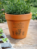 PMC Highland Cow terracotta plant pot 15cm, UK version
