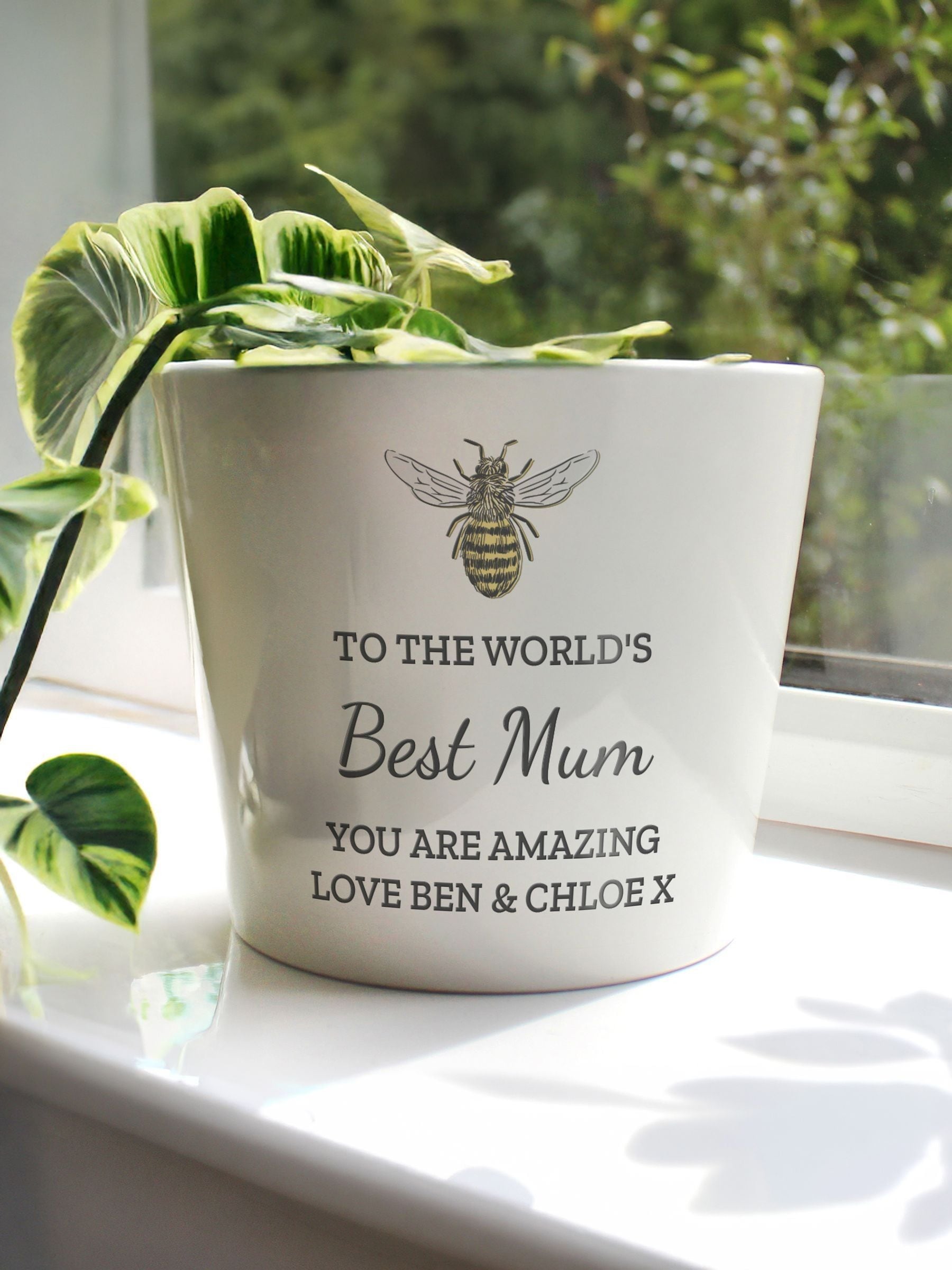 PMC personalised bee plant pot 14.5cm, UK version
