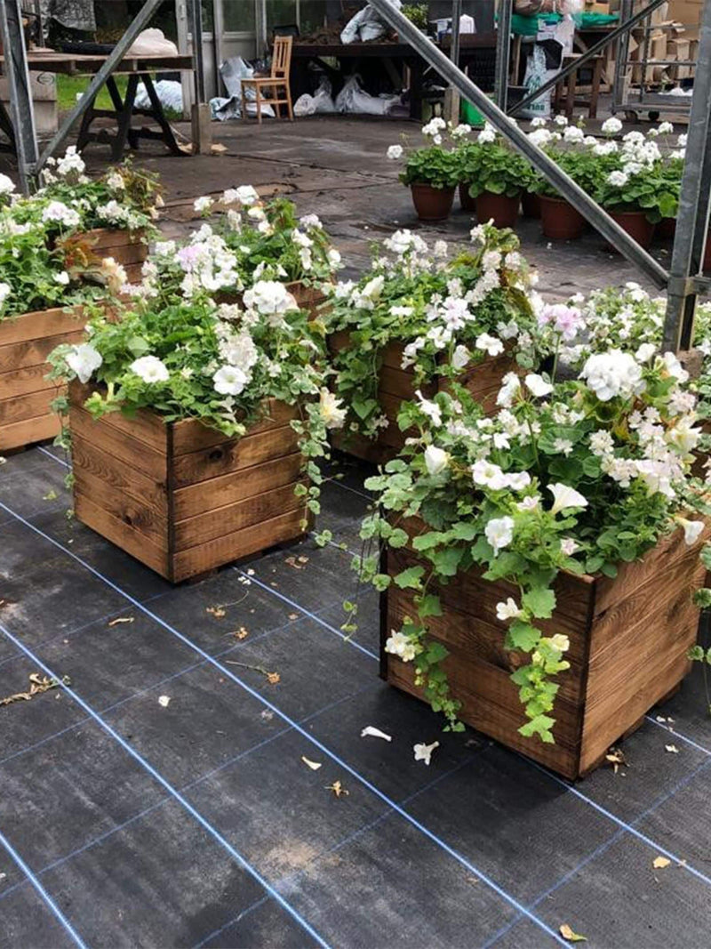 Charles Taylor large square garden planter 47.5cm (British brand)