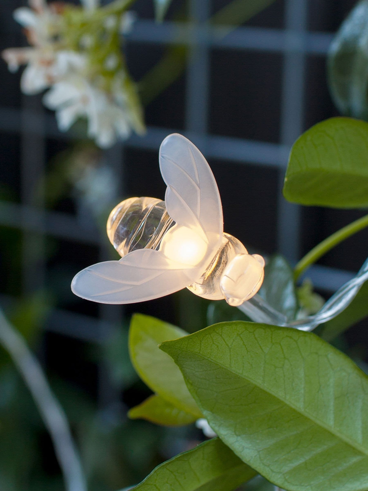 Lights4fun 20 bee LED solar fairy lights, UK version