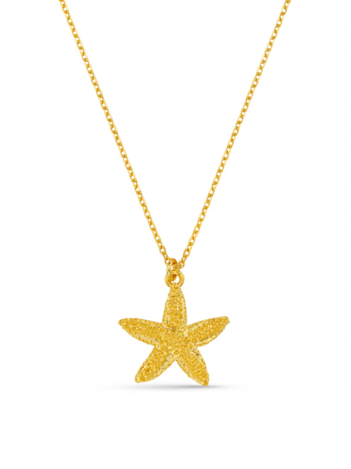 Orelia London gold tone textured starfish necklace (British brand)