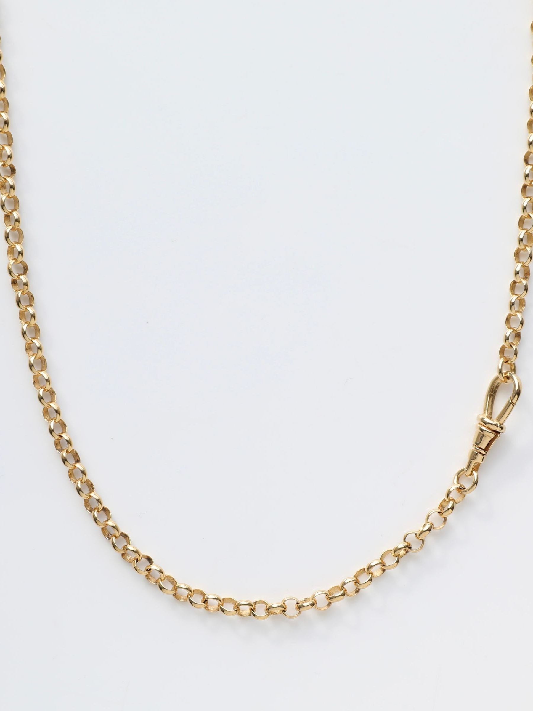 Carrie Elizabeth Gold Albert vintage chain necklace, imported from the UK