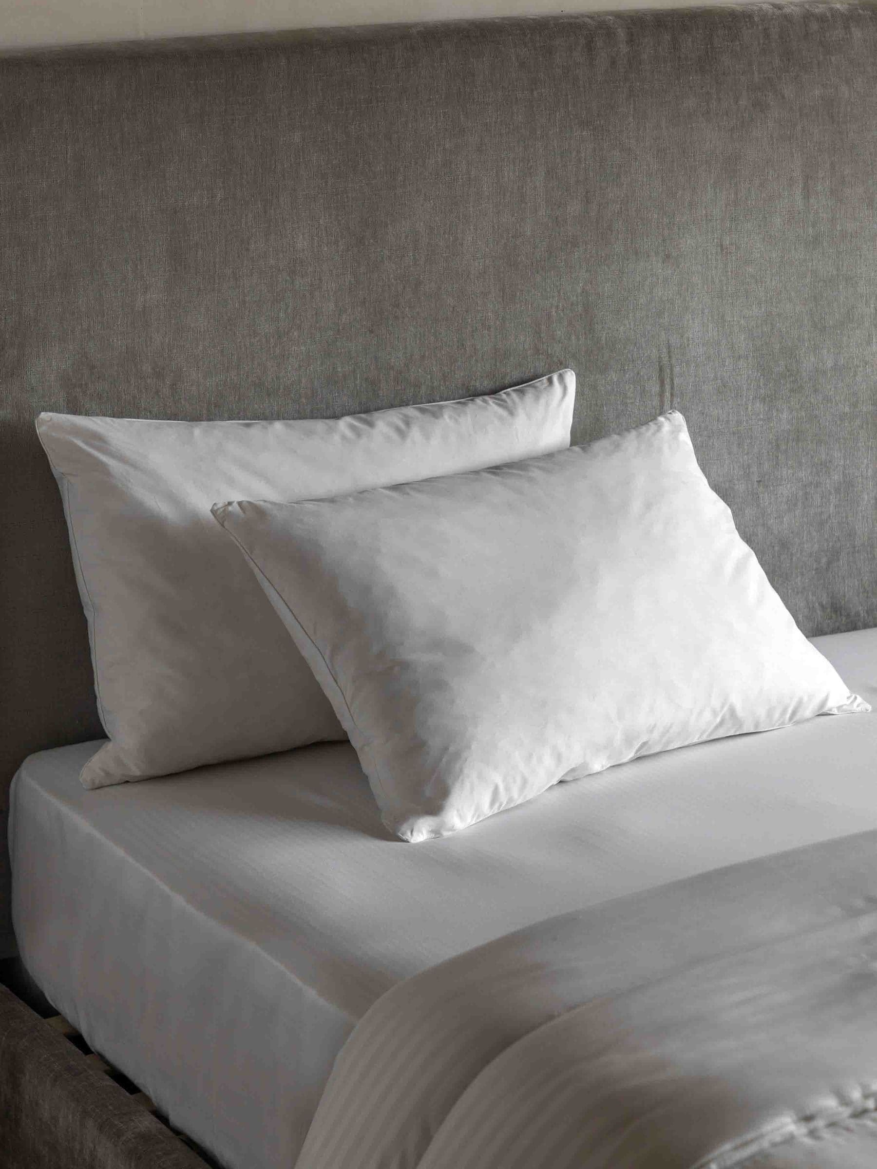 Gallery Home duck feather pillow pair 100% cotton (British brand)