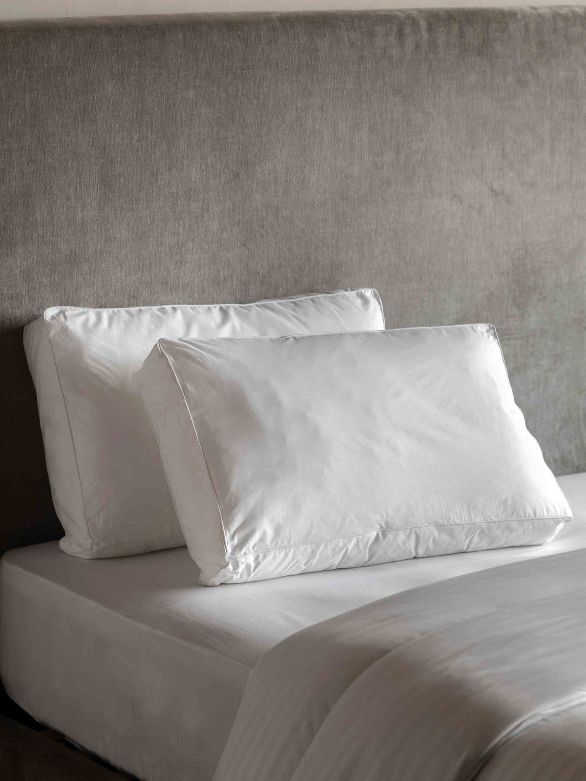 Gallery Home Serene Sleep pillows box edge pair, UK version