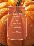 Yankee Candle Spiced Pumpkin large jar candle - British product