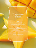 Yankee Candle Starfruit  Sunshine Signature Medium Jar Boxed Candle