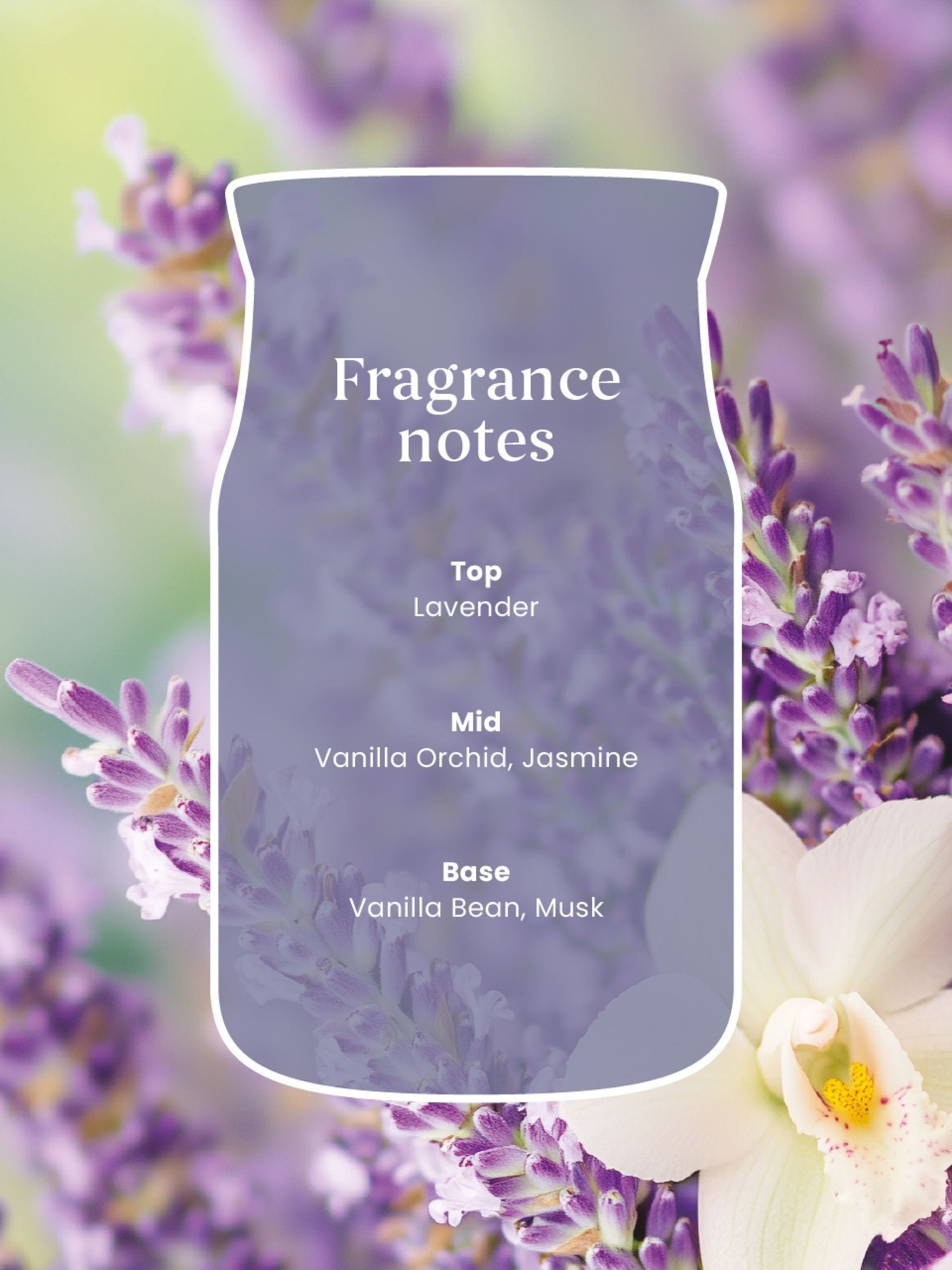 Yankee Candle Lavender Vanilla medium jar candle, UK version
