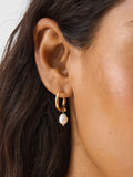 Accessorize cream pearl stud and hoop earrings 6 pack, UK version
