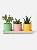 Oliver Bonas set of 3 ceramic plant pots 10cm, UK version