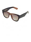 Estella Bartlett wayfarer sunglasses transparent brown, imported from the UK