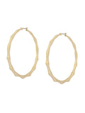 AllSaints gold tone Clara bamboo large hoop earrings (British brand)
