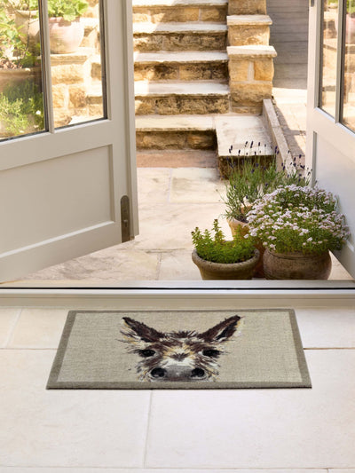 Next My Mat Natural Donkey Doormat Indoor Doormat 50x75 cm- Buy online at McGrocer