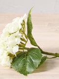 Pacific white faux hydrangea pack of 3 (British brand)