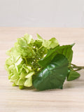 Green hydrangea stems pack of 3 artificial flowers, imported from the UK