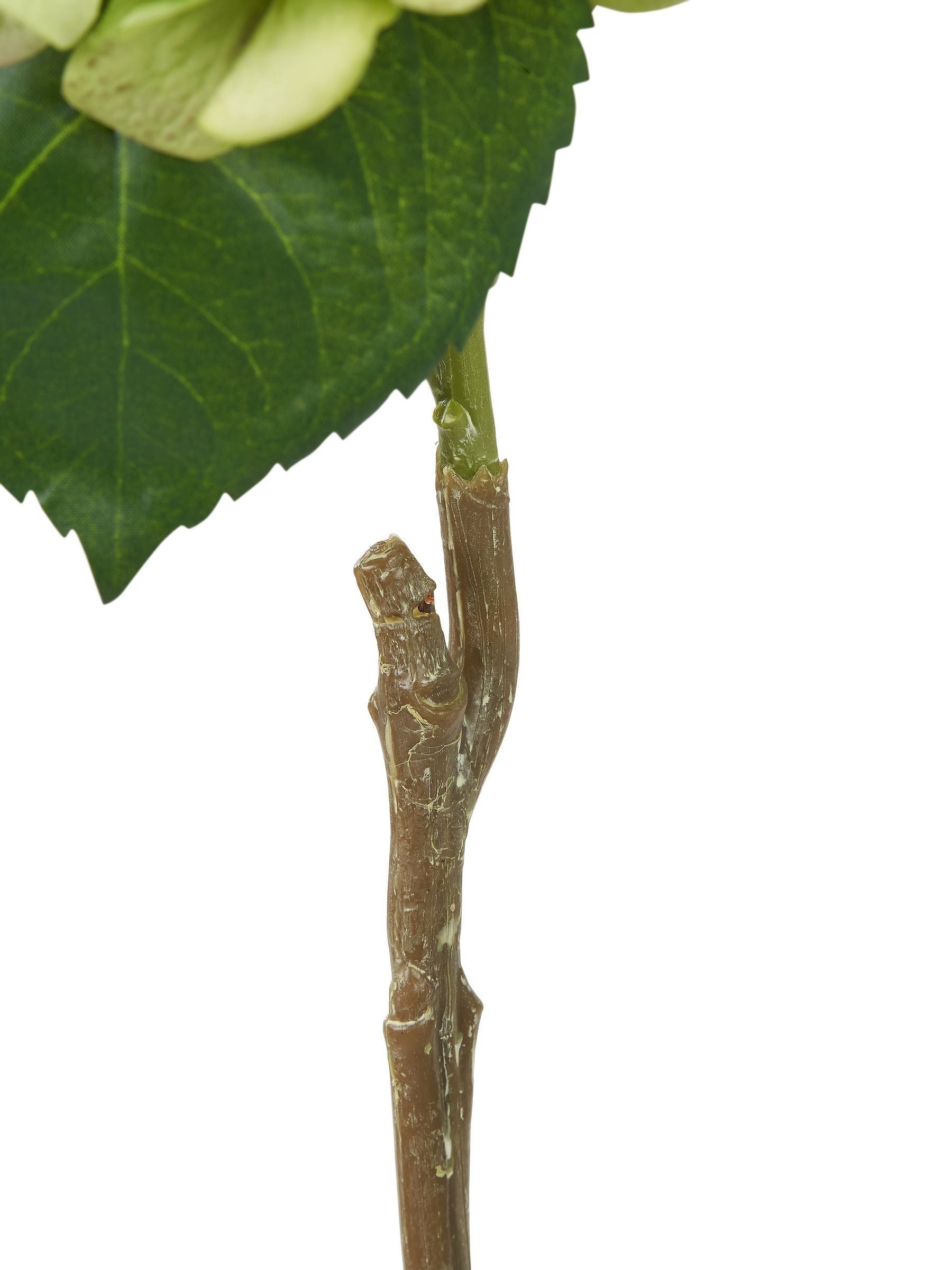 Green hydrangea stems pack of 3 artificial flowers, imported from the UK