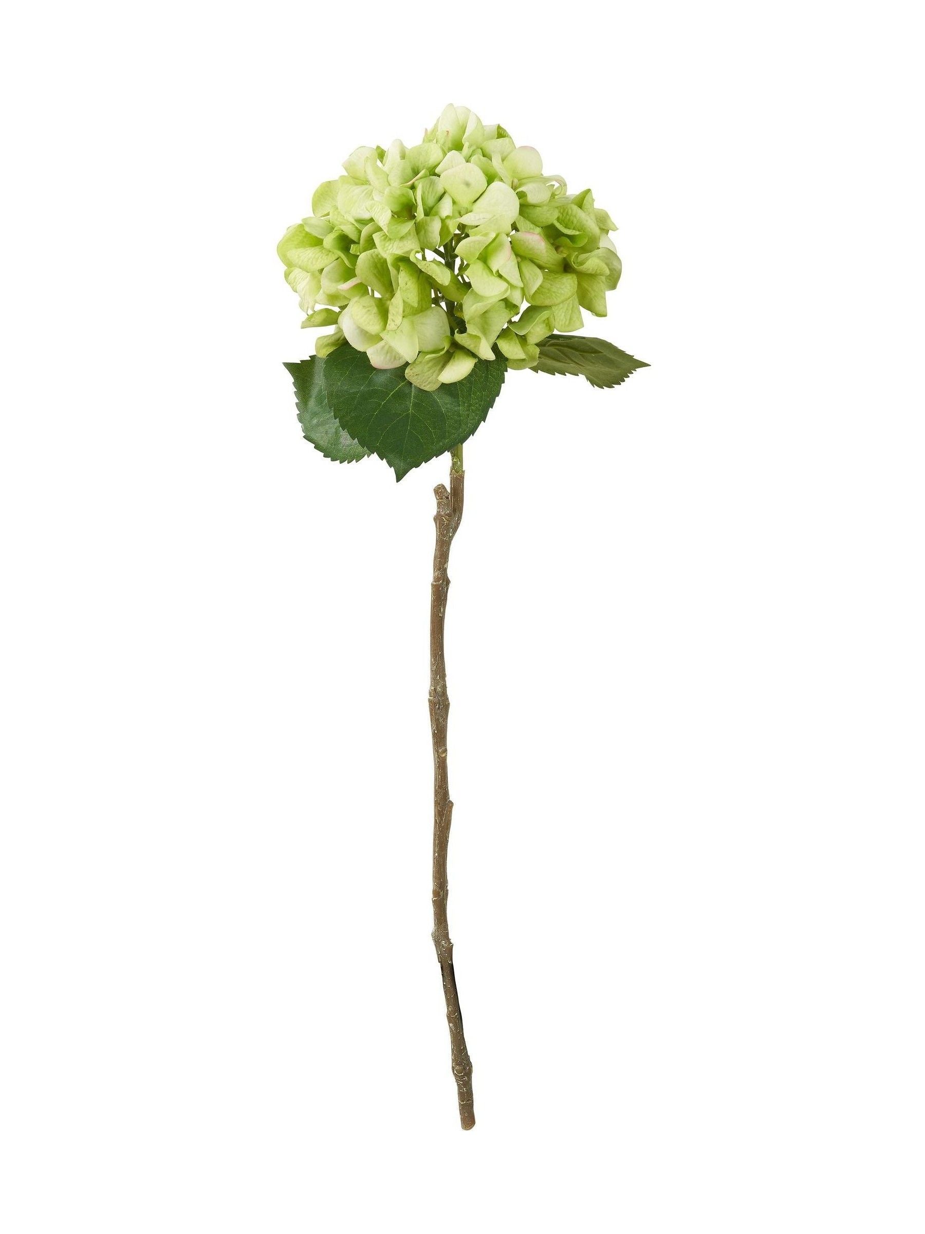 Pacific artificial green hydrangea pack of 6, imported from the UK