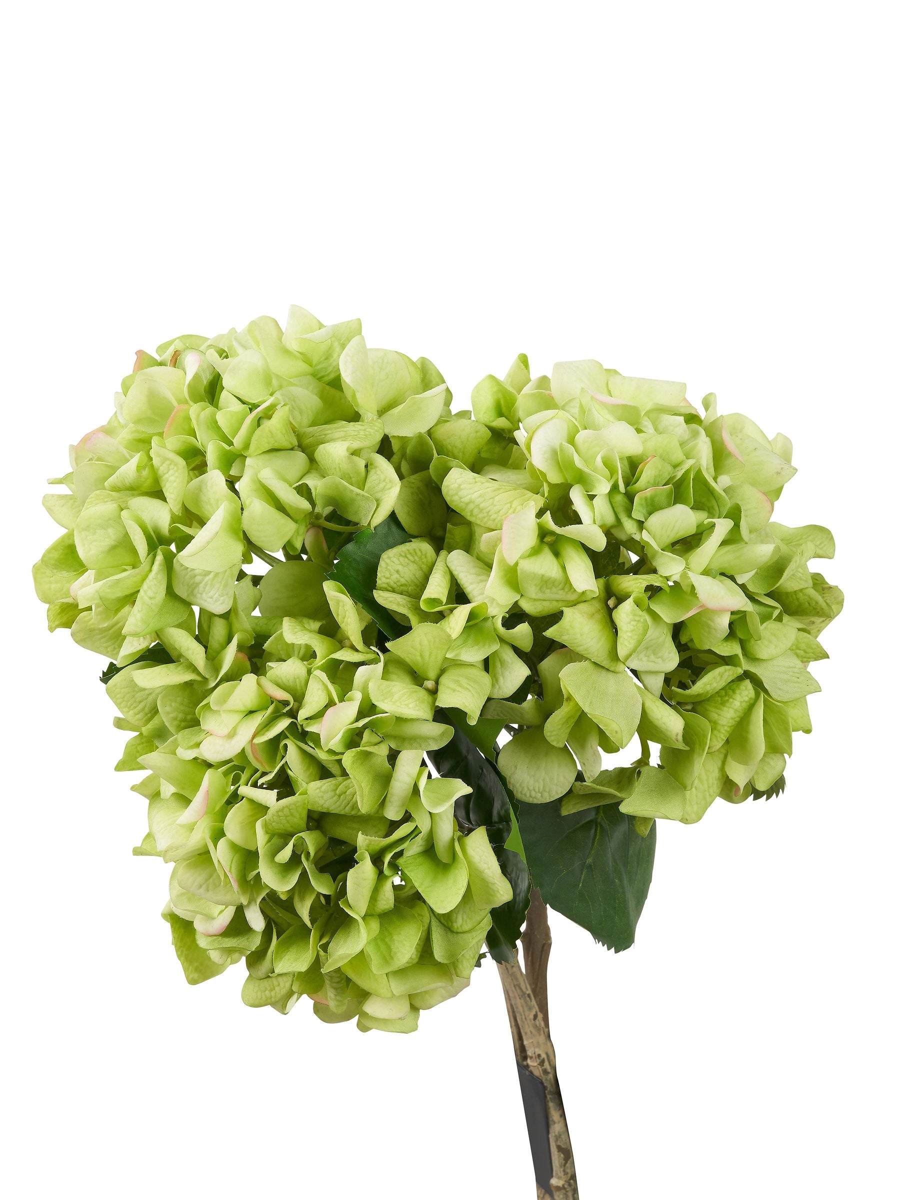 Pacific artificial green hydrangea pack of 6, imported from the UK