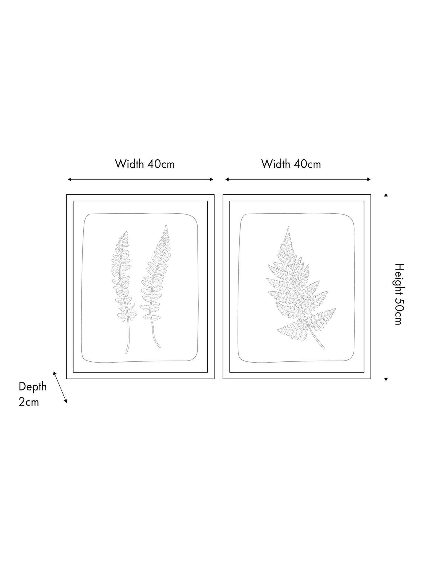 Pacific Green fern canvas wall art set of two - British product