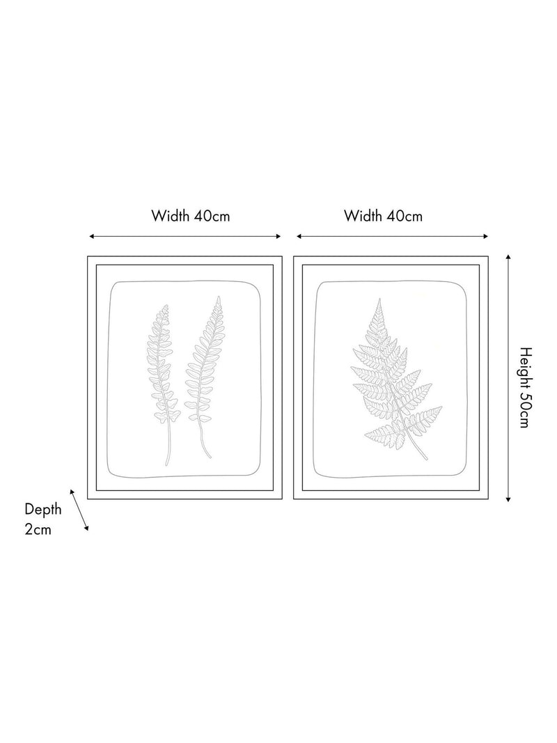 Pacific Green fern canvas wall art set of two - British product