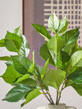 Pacific Green faux hydrangea leaf stems pack of 6 - British product