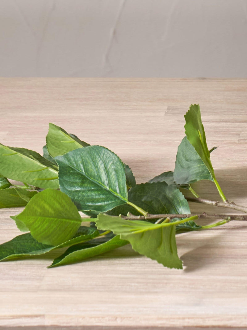 Pacific Green faux hydrangea leaf stems pack of 6 - British product