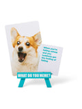 What Do You Meme Family Edition card game (British brand)