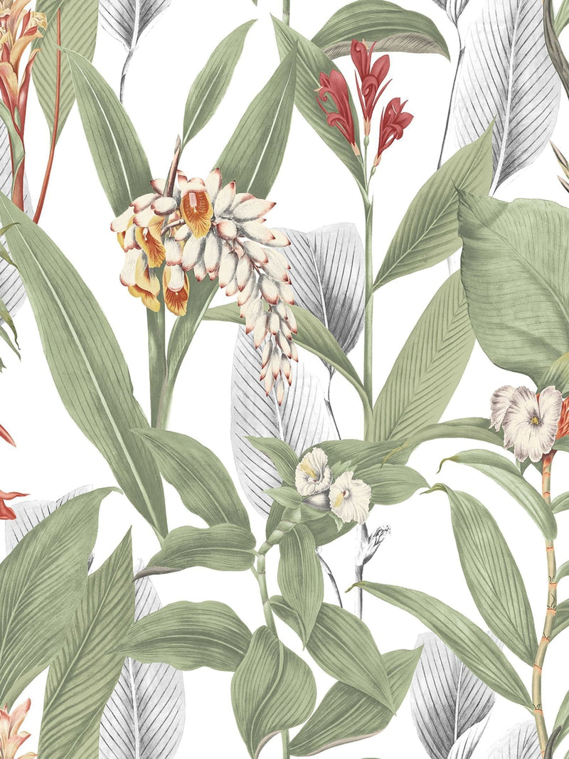 Graham & Brown Powder Botanical A4 wallpaper sample, UK version