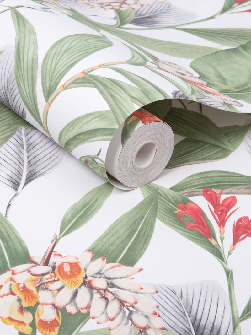 Graham & Brown Powder Botanical A4 wallpaper sample, UK version