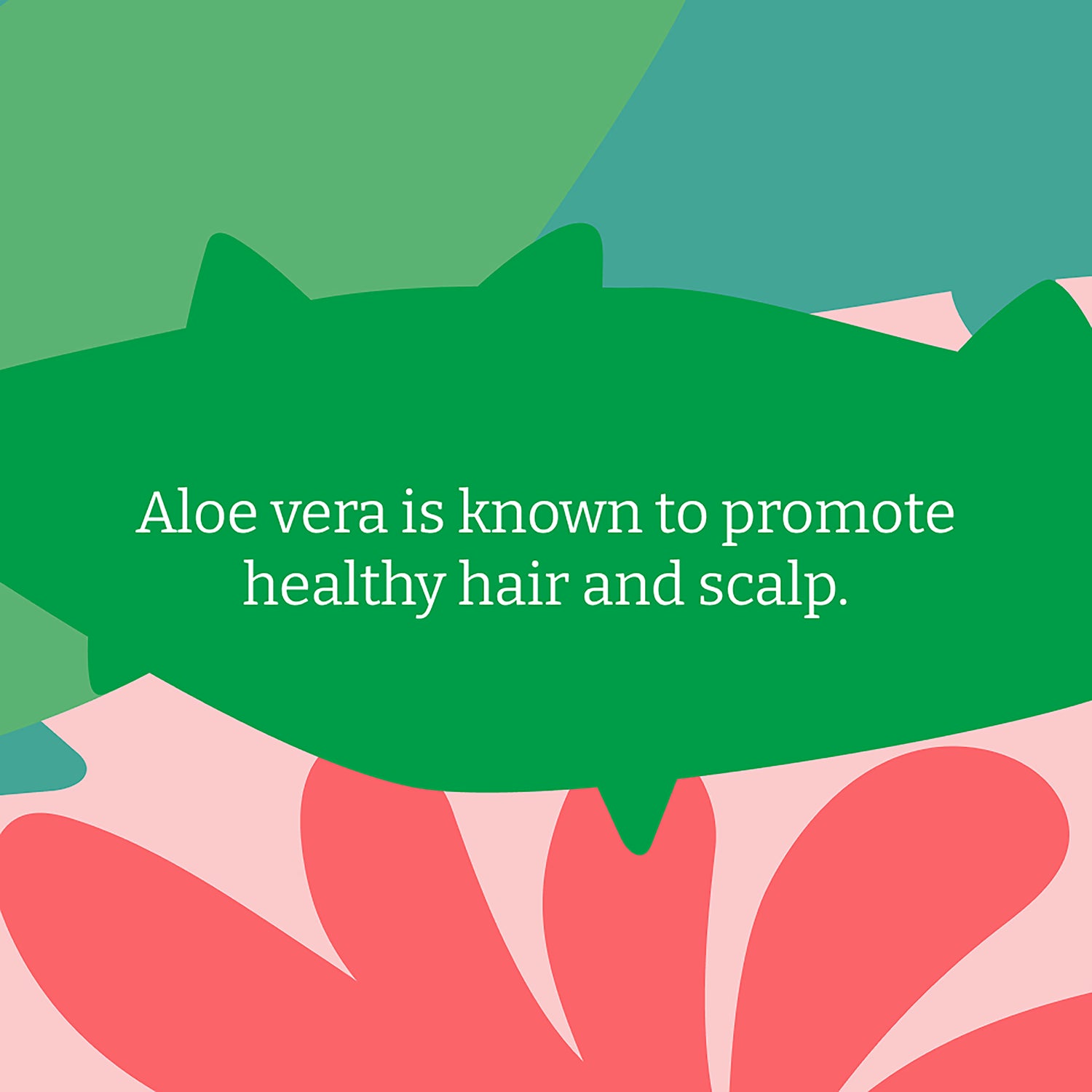 Faith In Nature Aloe Vera Conditioner 400ml - British product