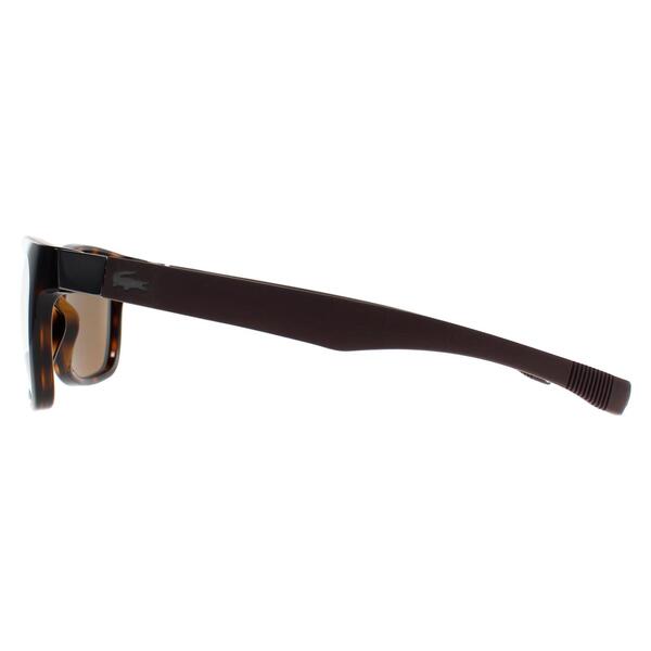 Lacoste brown polarised unisex sunglasses - British product