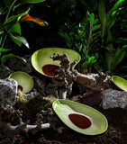 Bordallo Pinheiro avocado bowl 14cm - British product