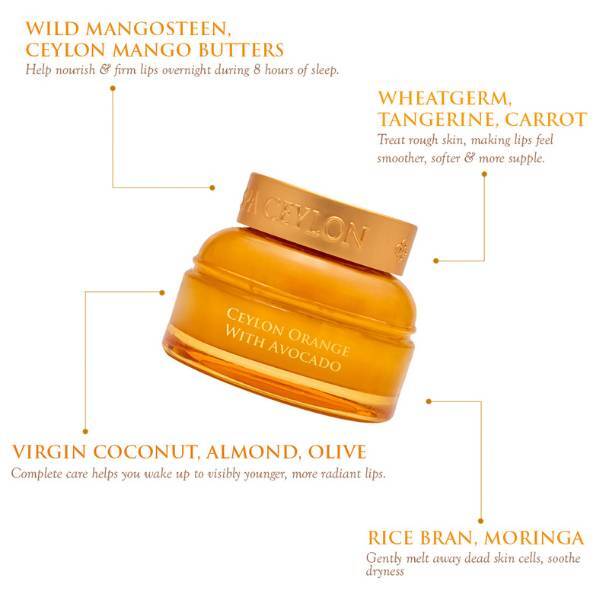 SPA CEYLON lip sleeping masque orange and avocado 50g - British product