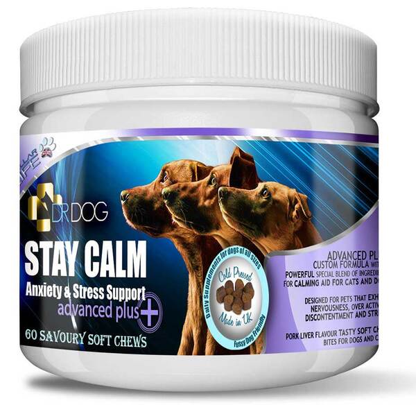 DR DOG Stay Calm Anxiety Calming Supplement GOODS Superdrug   