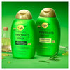OGX Rosemary Mint Conditioner 385ml, imported from the UK