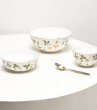 Wedgwood Wild Strawberry bowl 18cm (British brand)