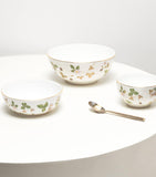 Wedgwood Wild Strawberry bowl 18cm (British brand)