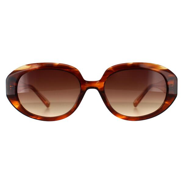 Ted Baker TB1689 Penny Brown Horn Gradient women sunglasses, UK version