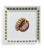 Fornasetti Giro di Conchiglie shell decorative plate 20cm, imported from the UK