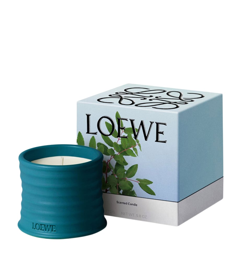 LOEWE Incense scented candle 170g terracotta (British brand)