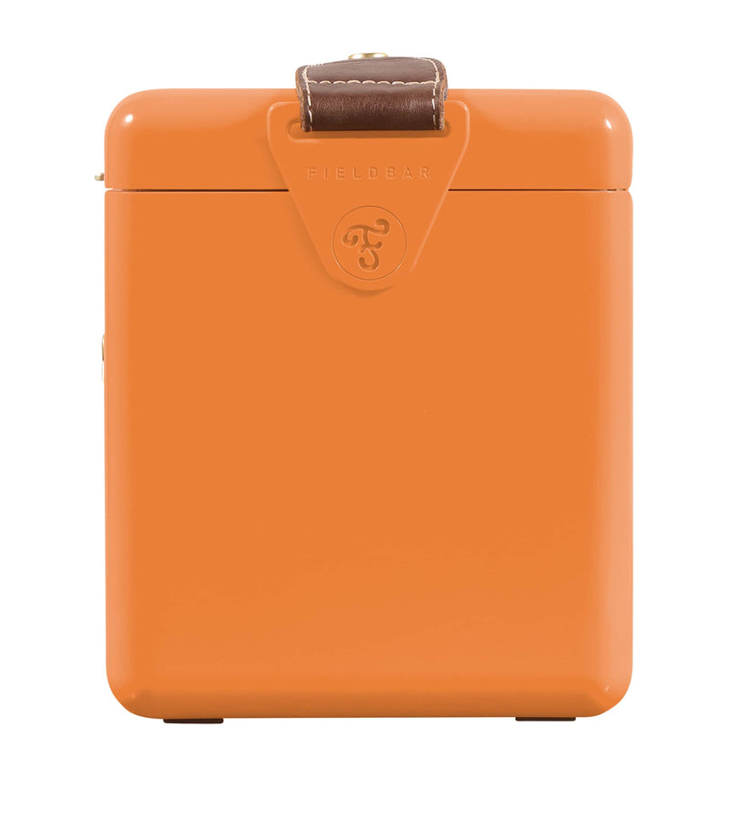 Fieldbar mini cooler box with leather sling, 4L - British product